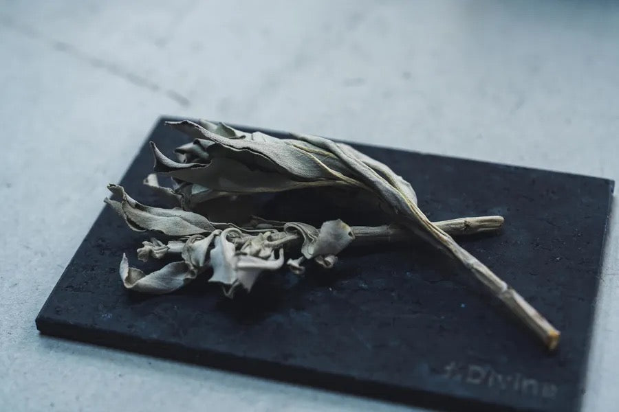 White sage
