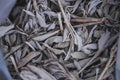 White sage